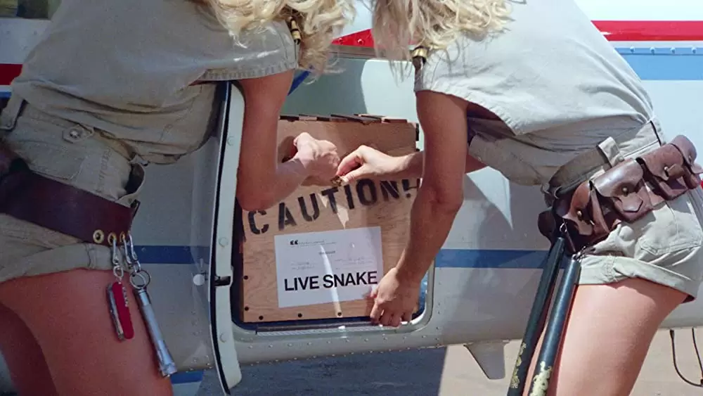 グラマー・エンジェル危機一発の画像