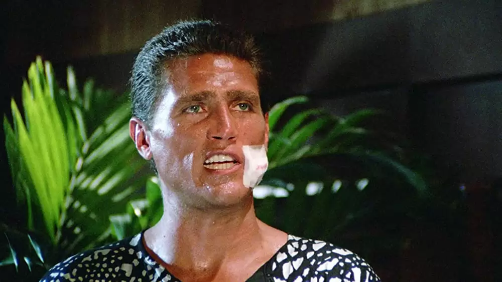 グラマー・エンジェル危機一発の画像