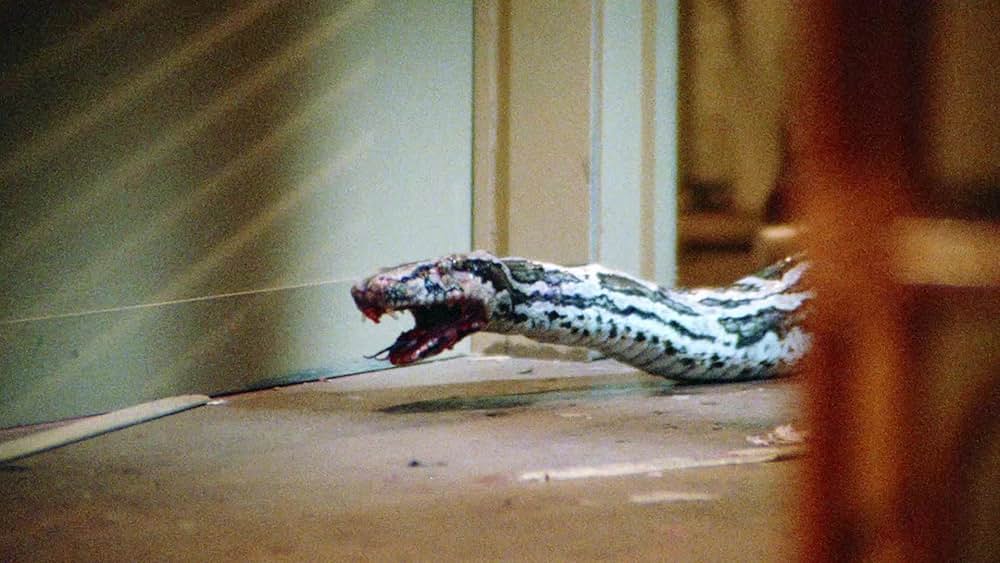 「グラマー・エンジェル危機一発」の画像
