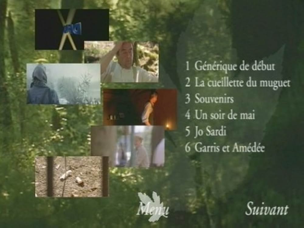 クリクリのいた夏の画像