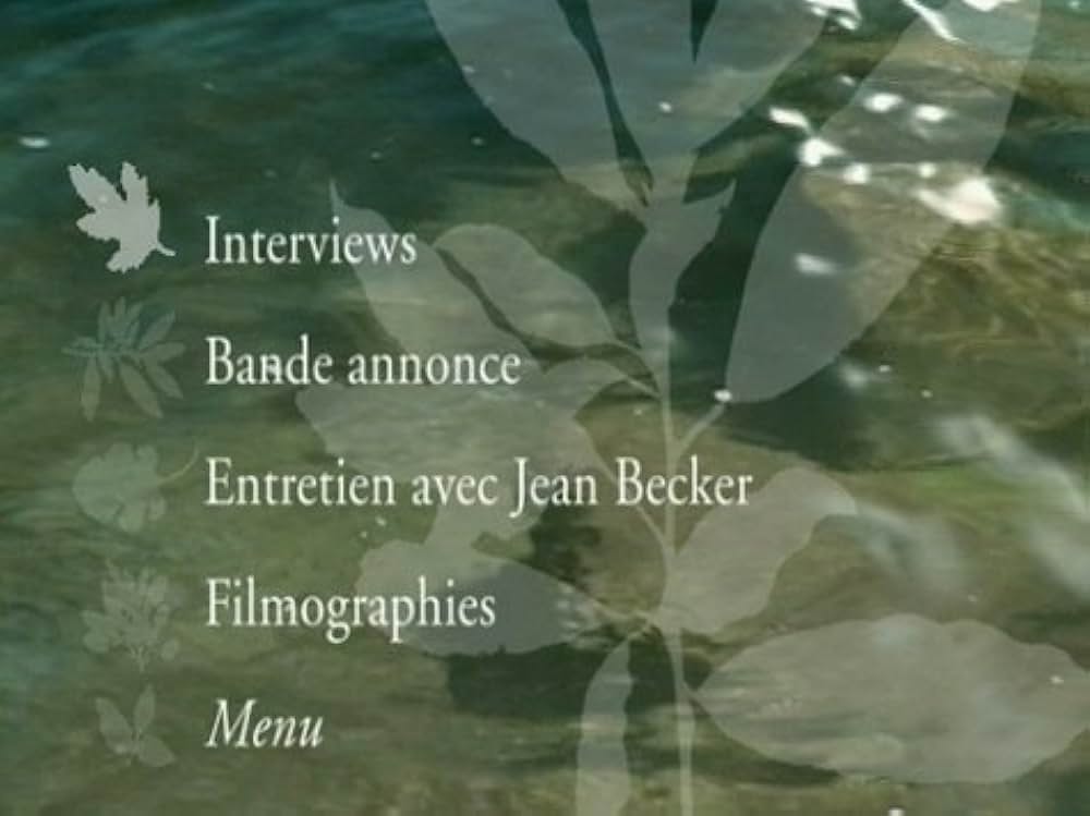 クリクリのいた夏の画像