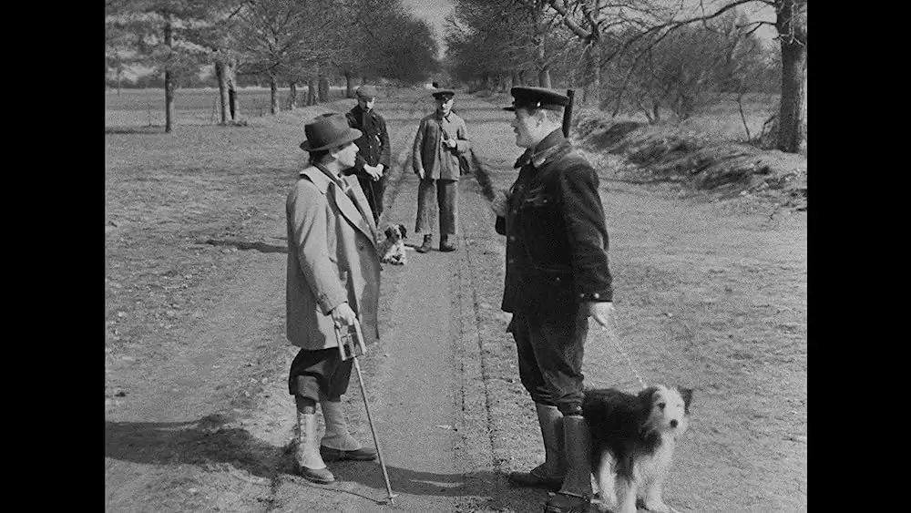 ゲームの規則の画像