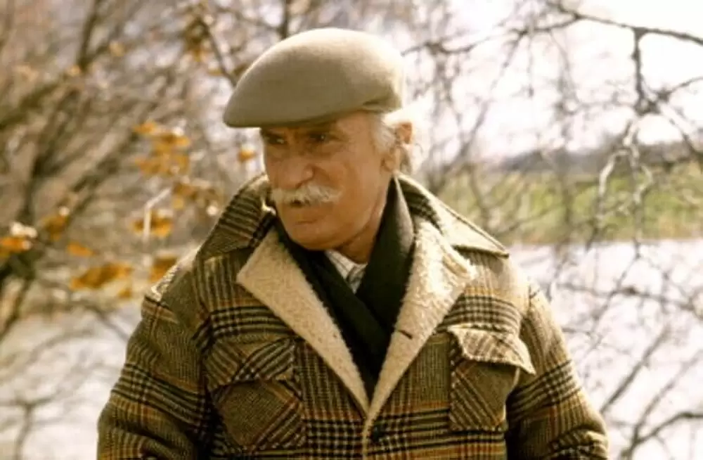 結婚しない族の画像