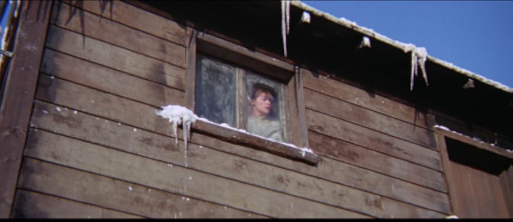 恋人たちの曲／悲愴の画像