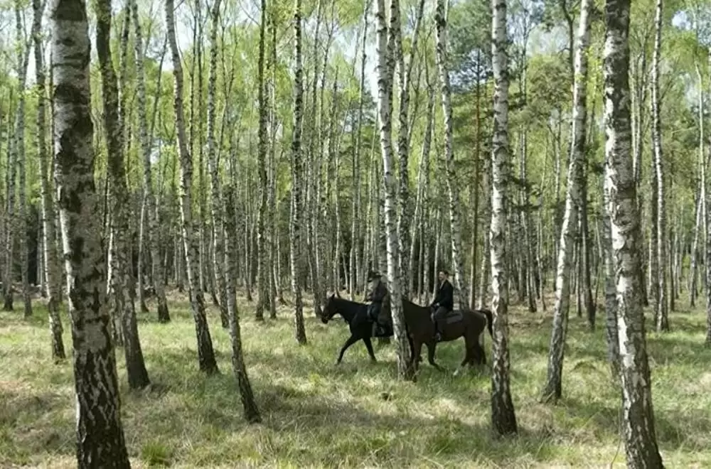 「終着駅 トルストイ最後の旅」クリストファー・プラマー & ジェームズ・マカボイの画像