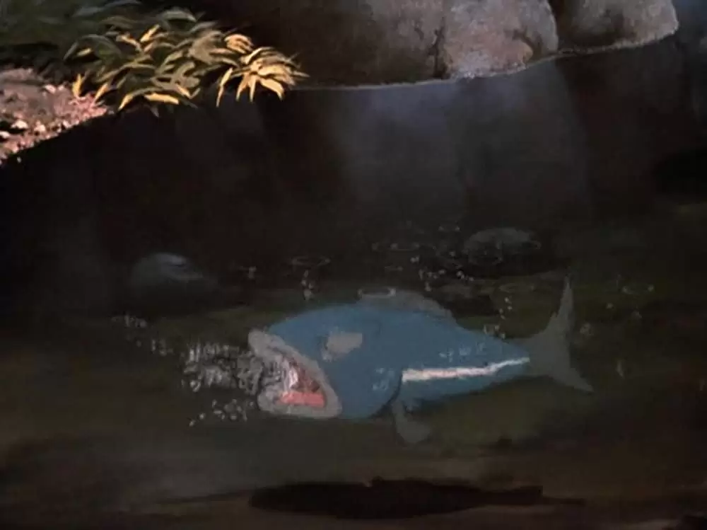 子ぐま物語／ファン・アンド・ファンシーフリーの画像