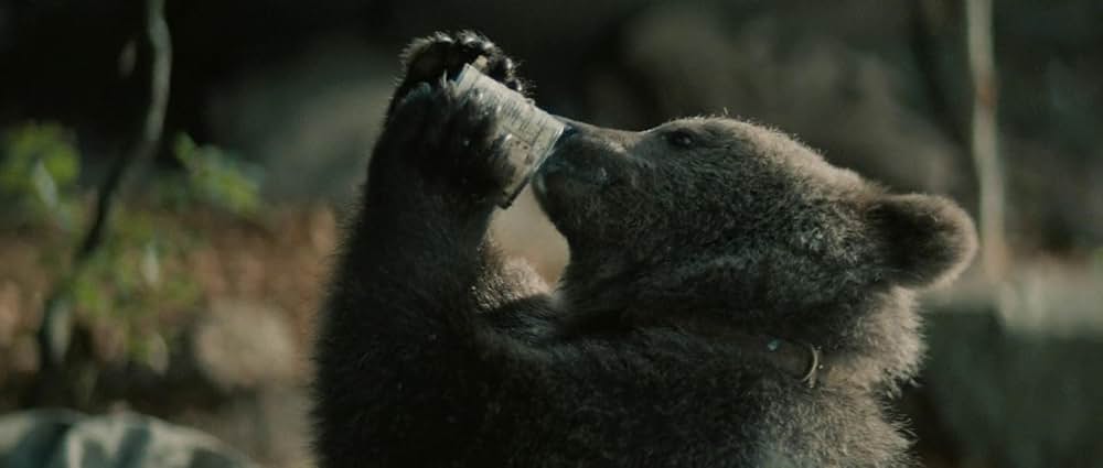 子熊物語の画像