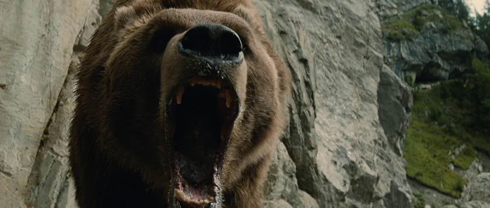 子熊物語の画像