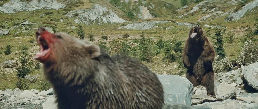 子熊物語の画像