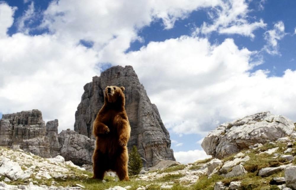 子熊物語の画像