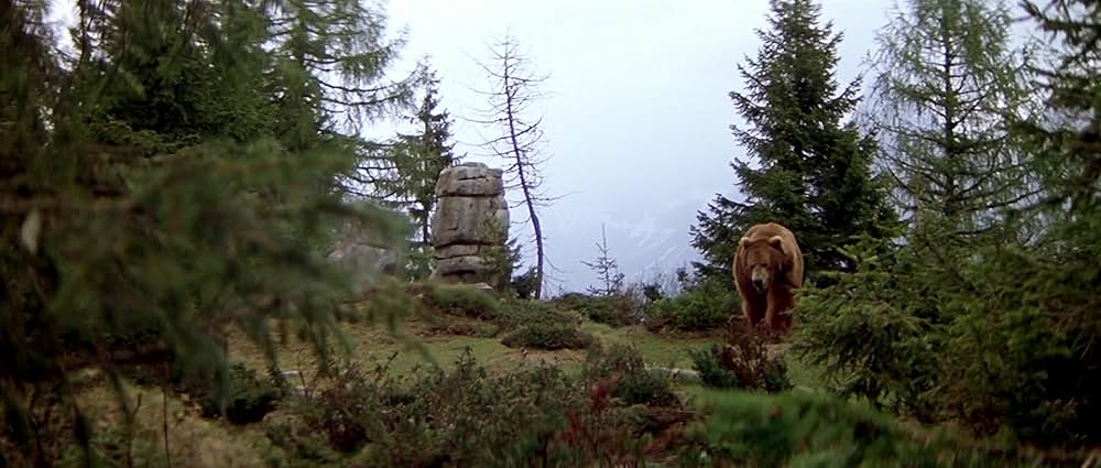 子熊物語の画像