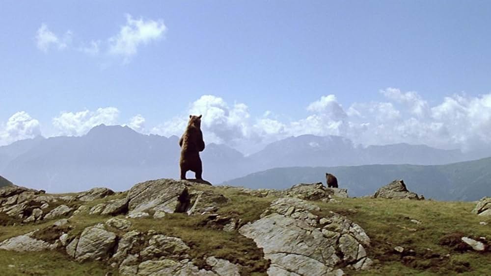 子熊物語の画像