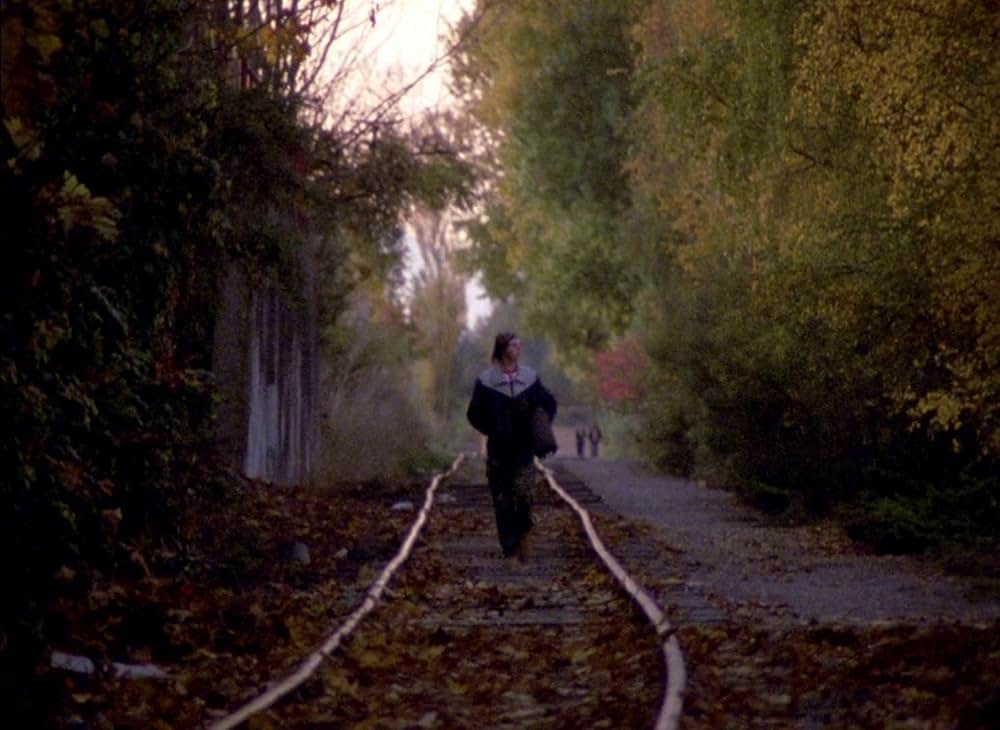 子供たちをよろしくの画像