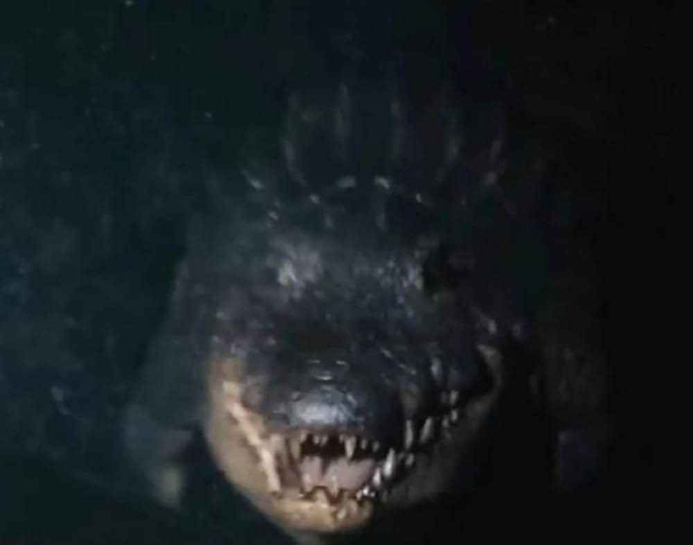 ジュマンジ／ウェルカム・トゥ・ジャングルの画像