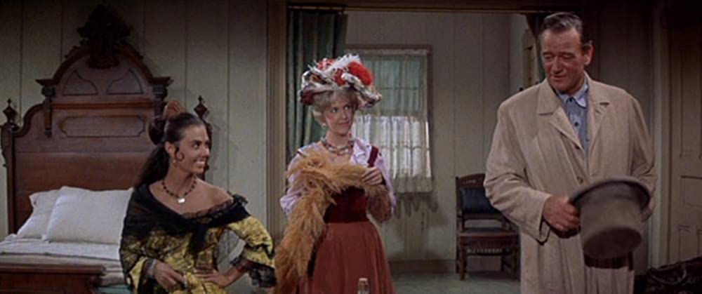 四角いジャングルの画像