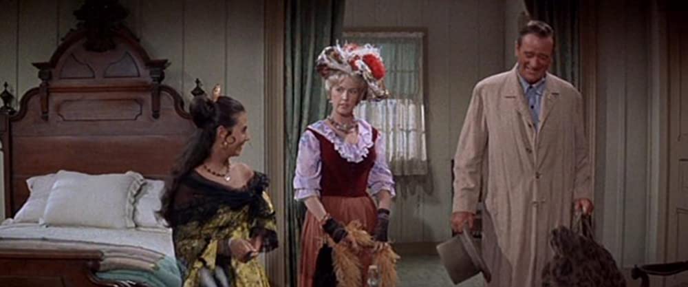 四角いジャングルの画像