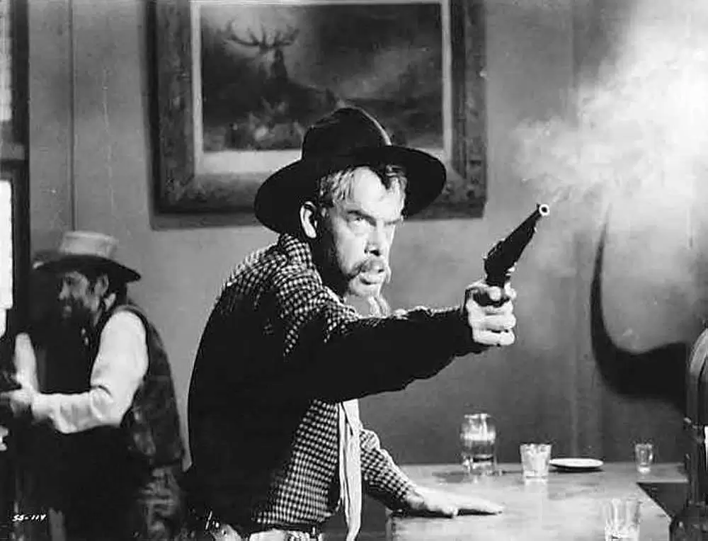 コマンチェロの画像