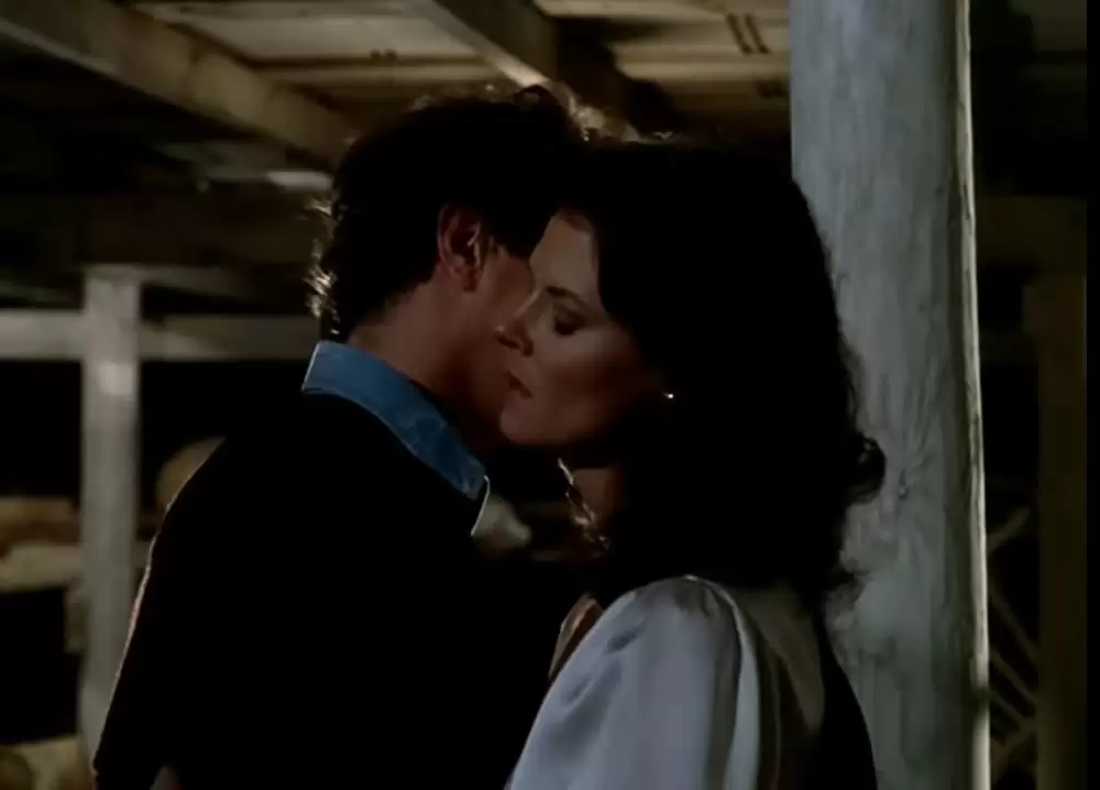 「再会の時」トム・ベレンジャー & ジョベス・ウィリアムズの画像