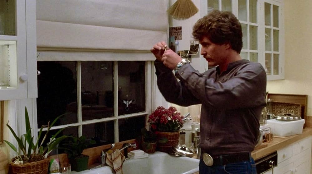 再会の時の画像