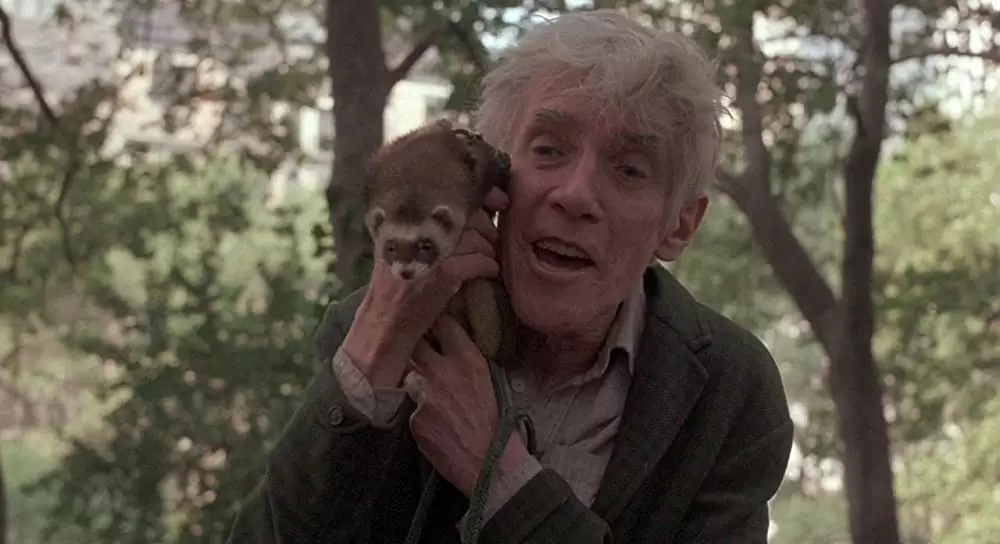 「再会の街／ブライトライツ・ビッグシティ」ウィリアム・ヒッキーの画像