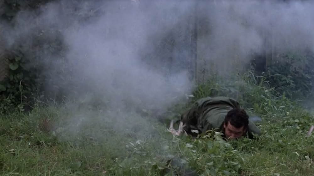 サイゴン野獣刑事の画像