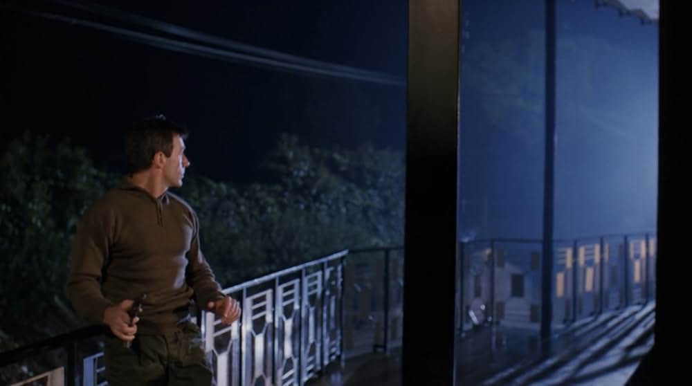 サイゴン野獣刑事の画像