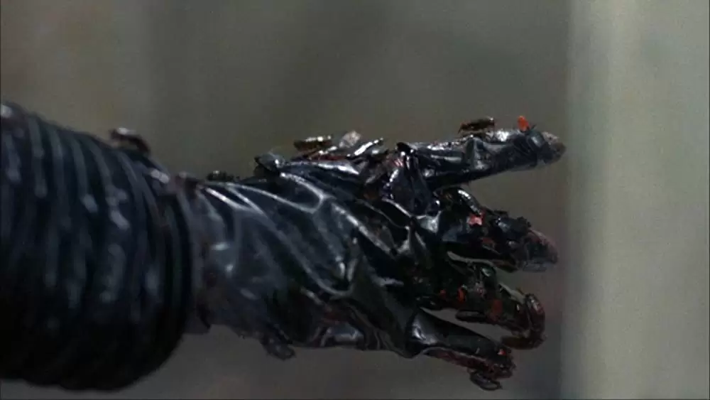 ザ・ネストの画像