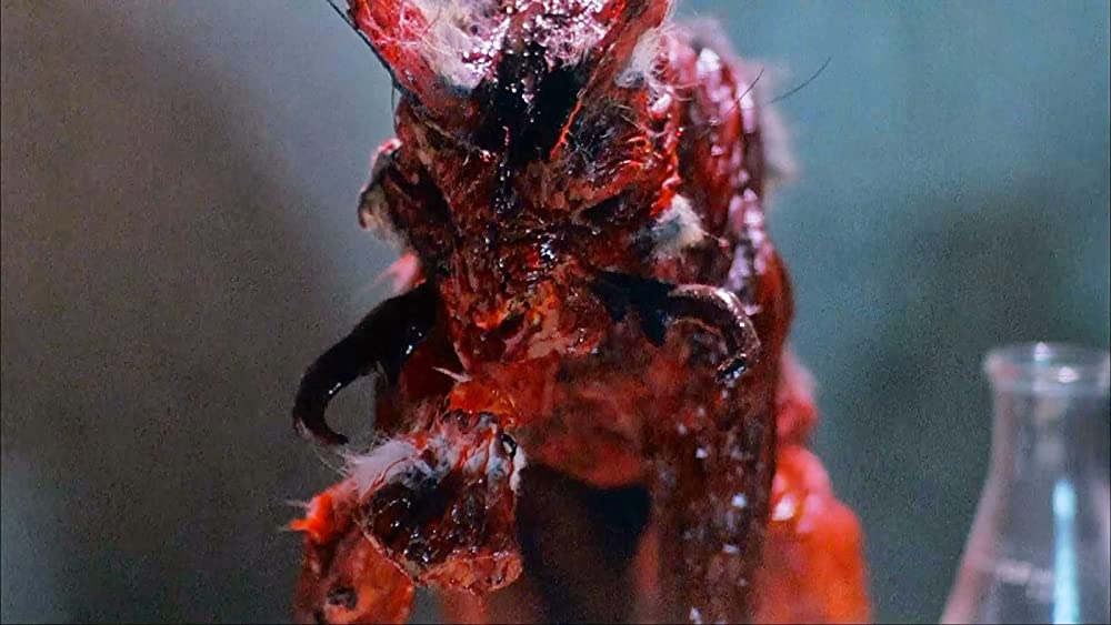 ザ・ネストの画像