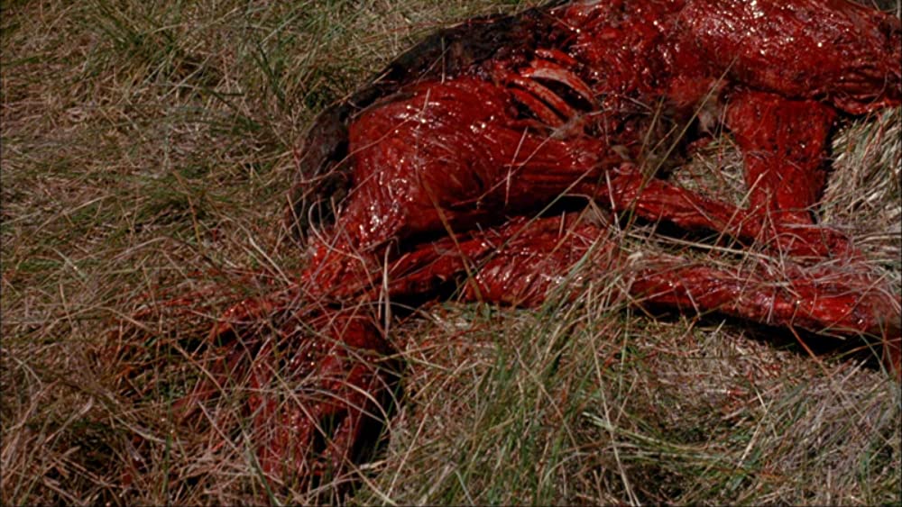 ザ・ネストの画像