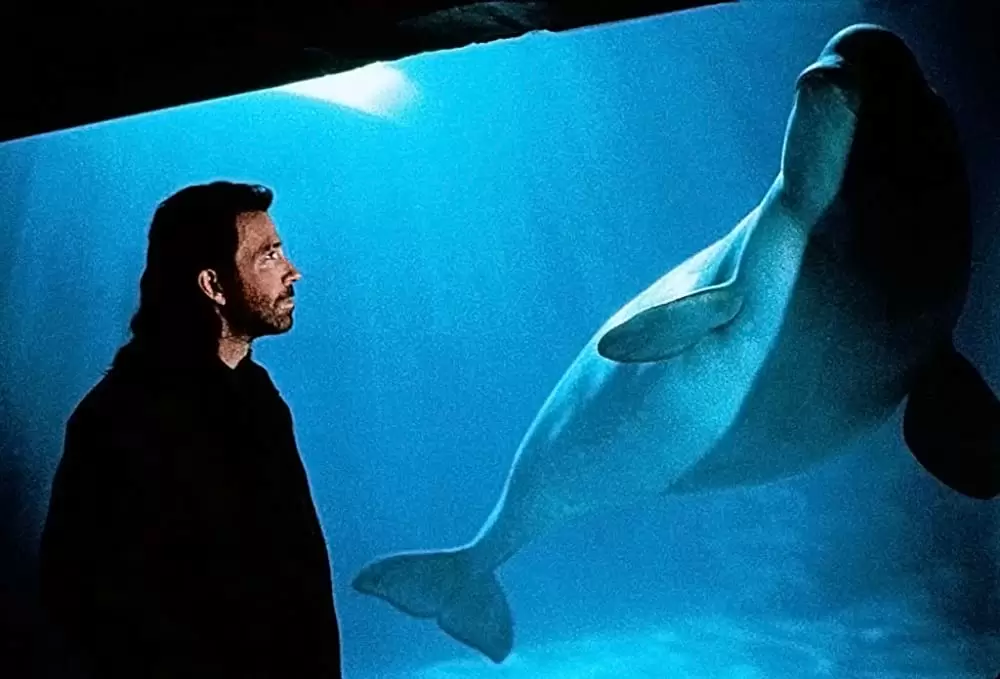 ザ・ヒットマン／危険な標的の画像