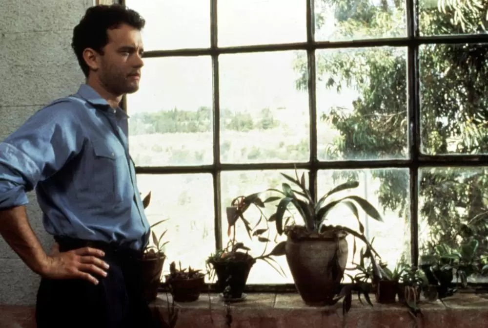 さよならは言わないでの画像