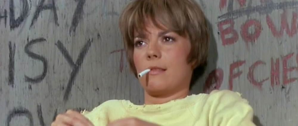 サンセット物語の画像