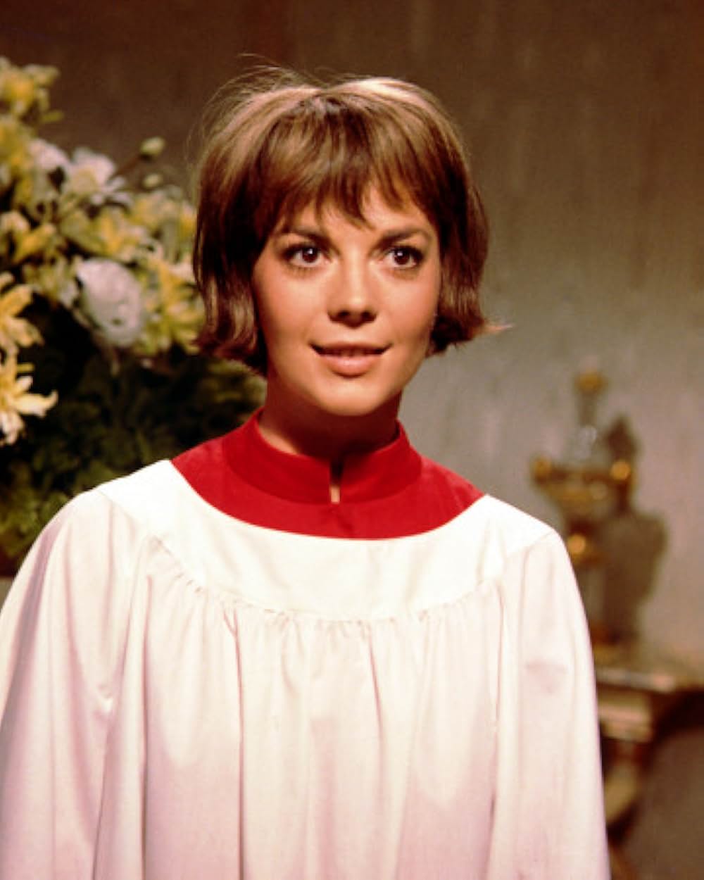 サンセット物語の画像