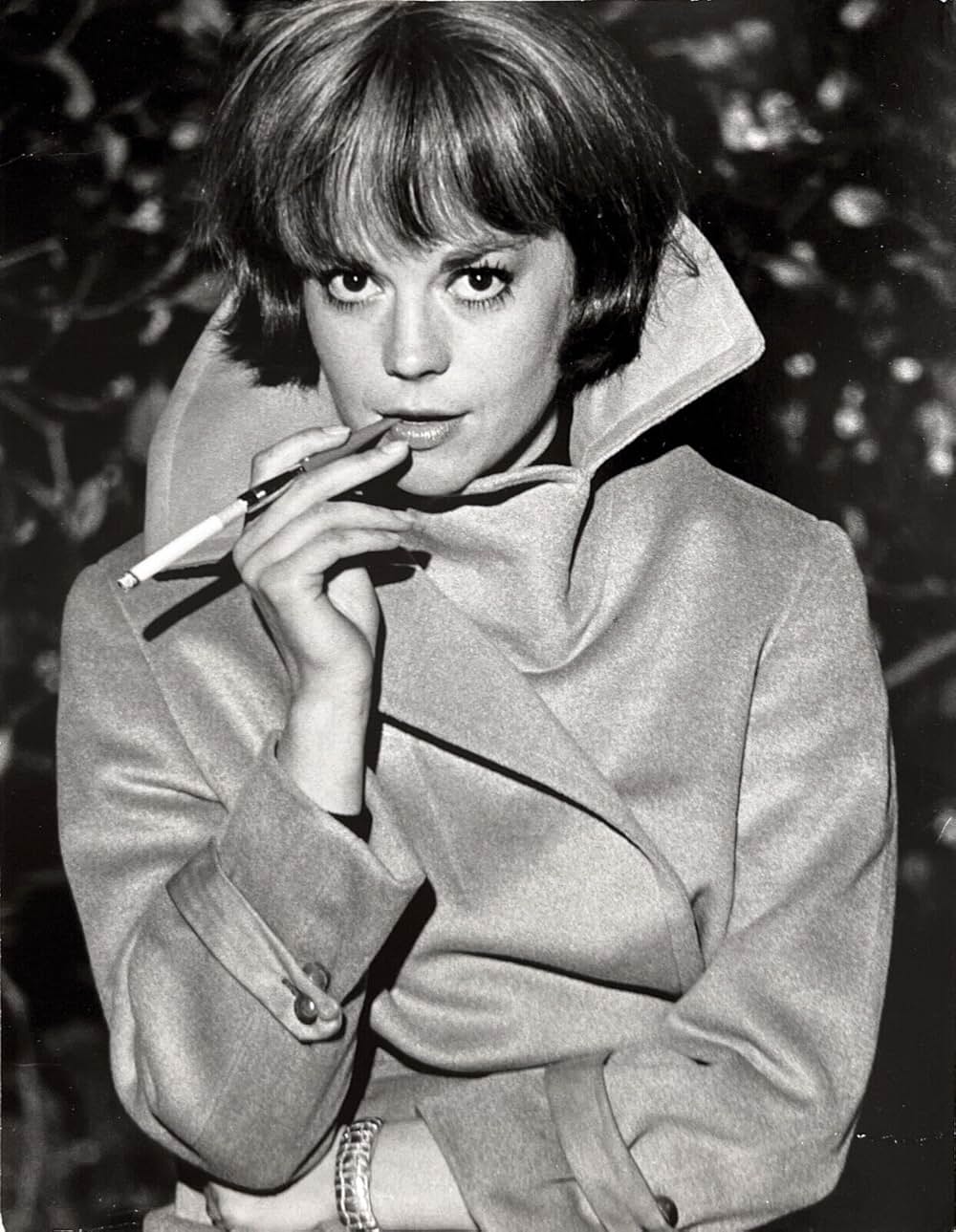 サンセット物語の画像