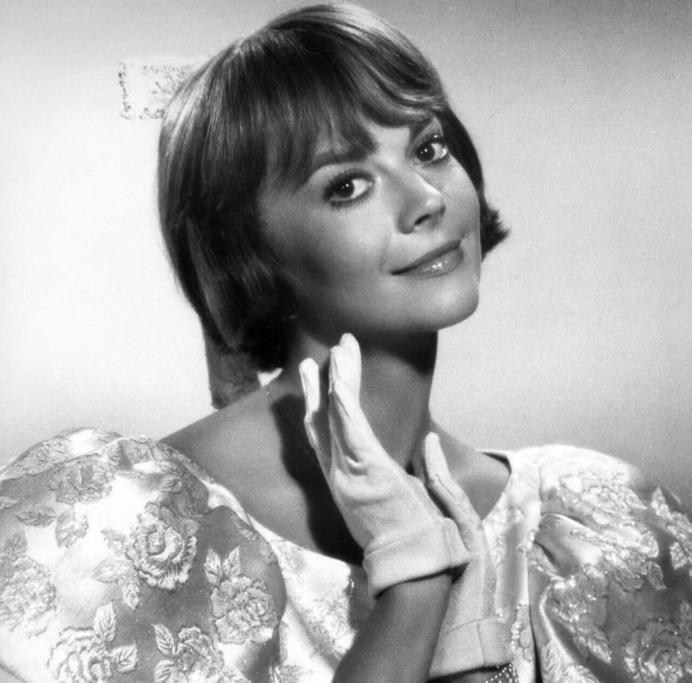 サンセット物語の画像