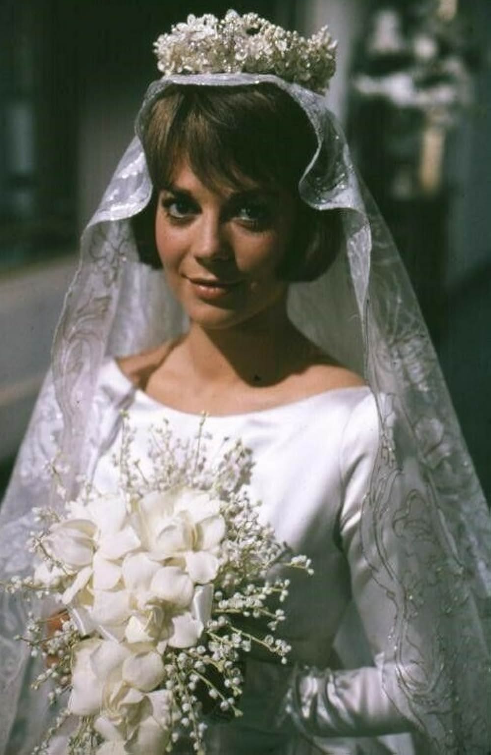 サンセット物語の画像