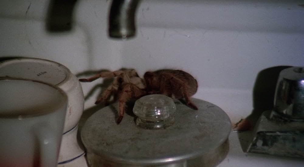 ジャイアント・スパイダー／大襲来の画像