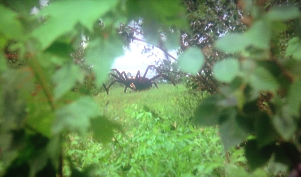 ジャイアント・スパイダー／大襲来の画像