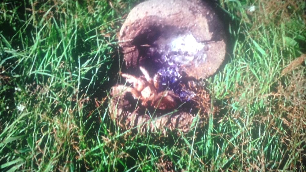 ジャイアント・スパイダー／大襲来の画像