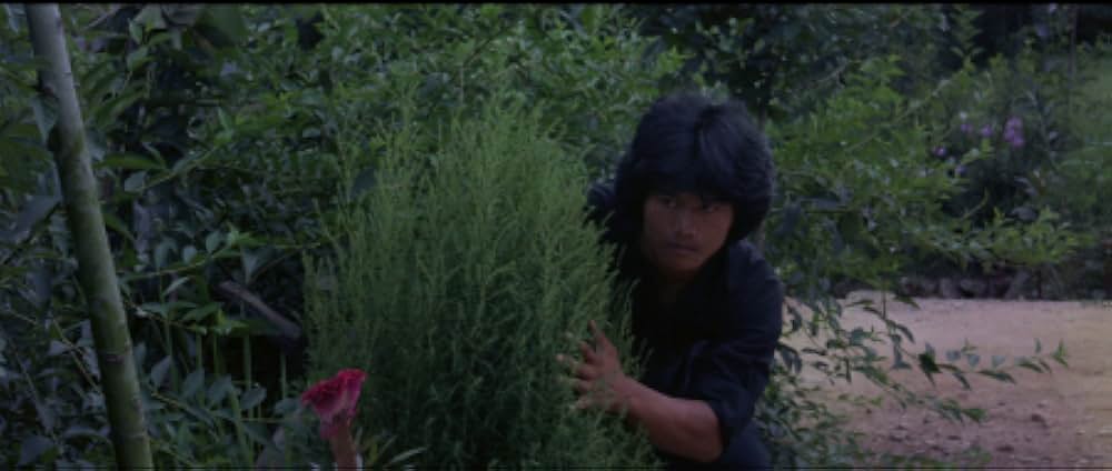 ジャッキー・チェンの醒拳の画像