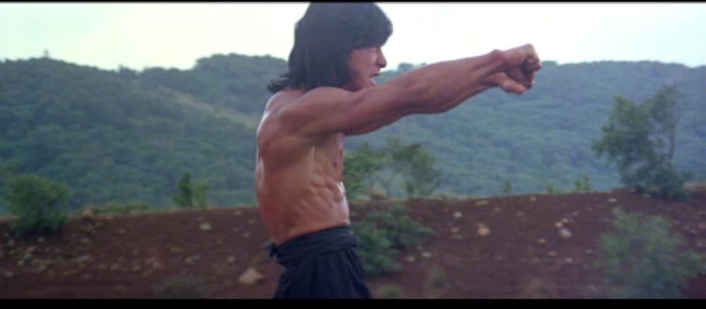 ジャッキー・チェンの醒拳の画像