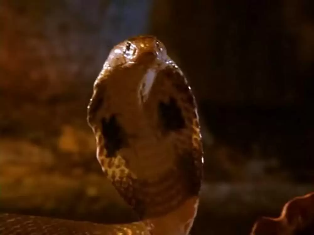 ジャングル・ブック／少年モーグリの大冒険の画像