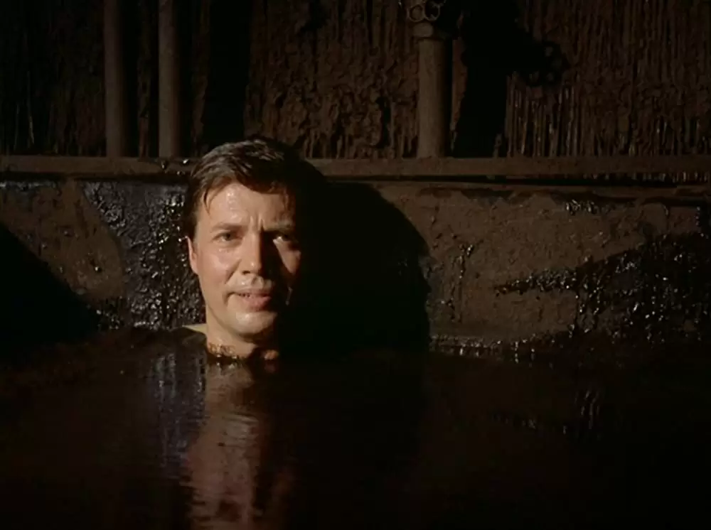 自由の代償の画像