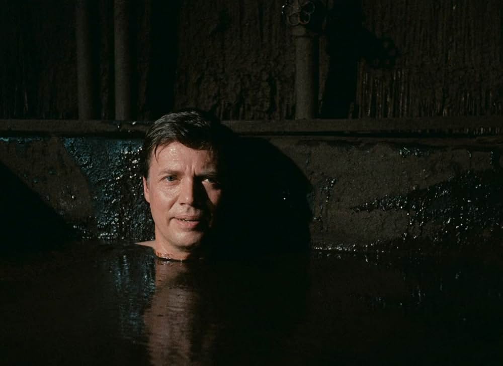 自由の代償の画像