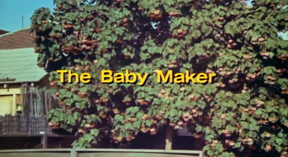 受胎の契約／ベビー・メーカーの画像