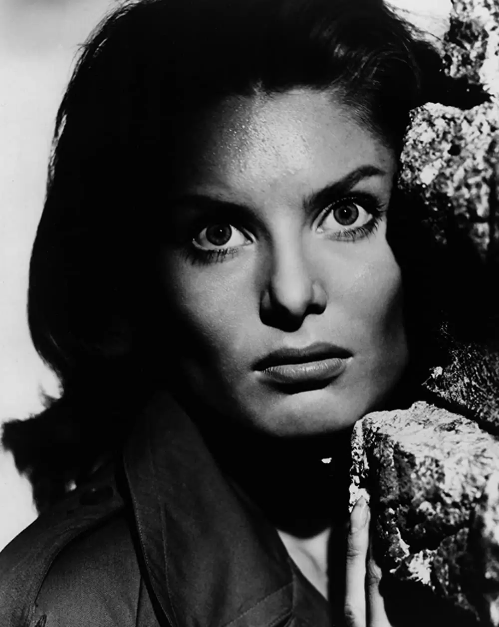 少年が知っている!の画像