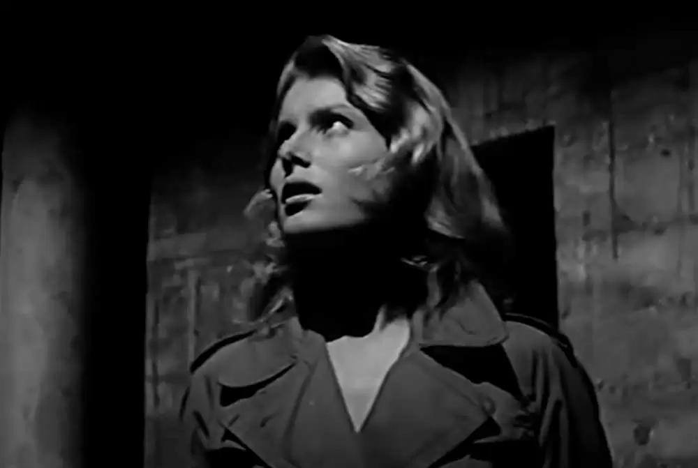 少年が知っている!の画像