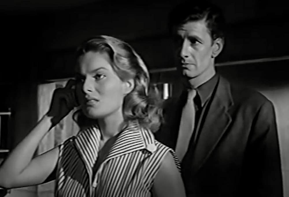 少年が知っている!の画像