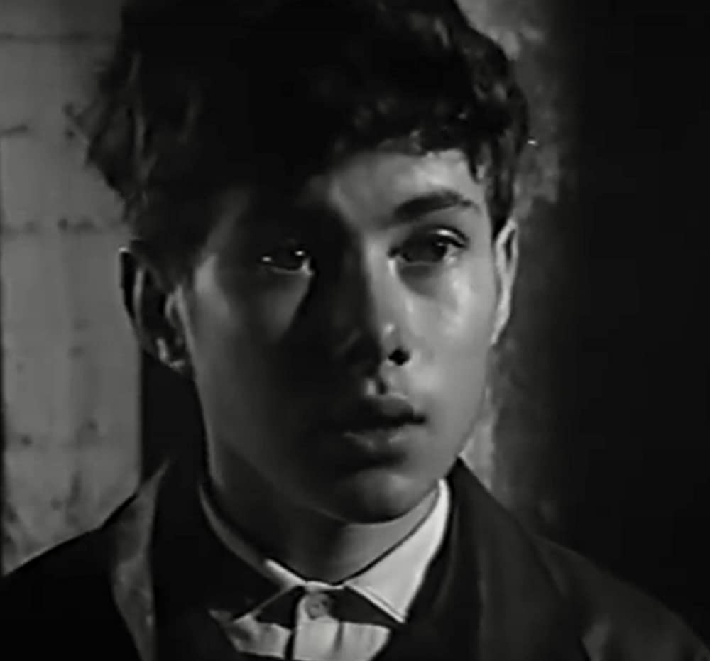 少年が知っている!の画像