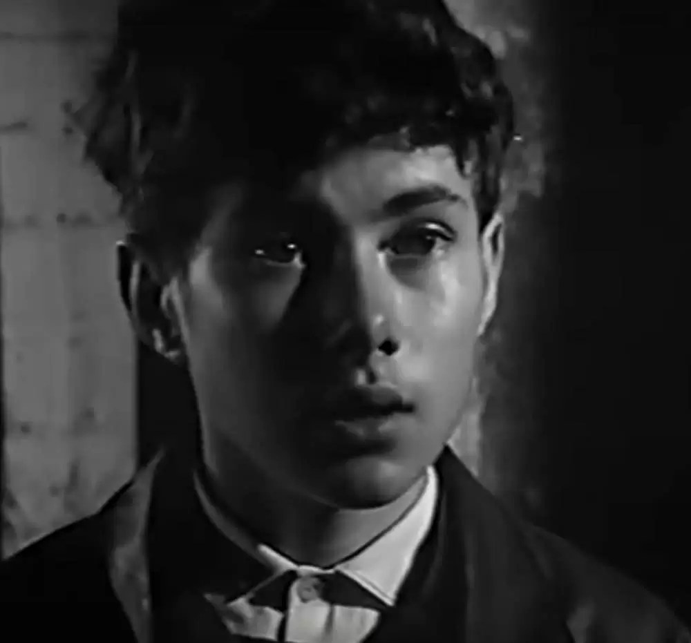 少年が知っている!の画像